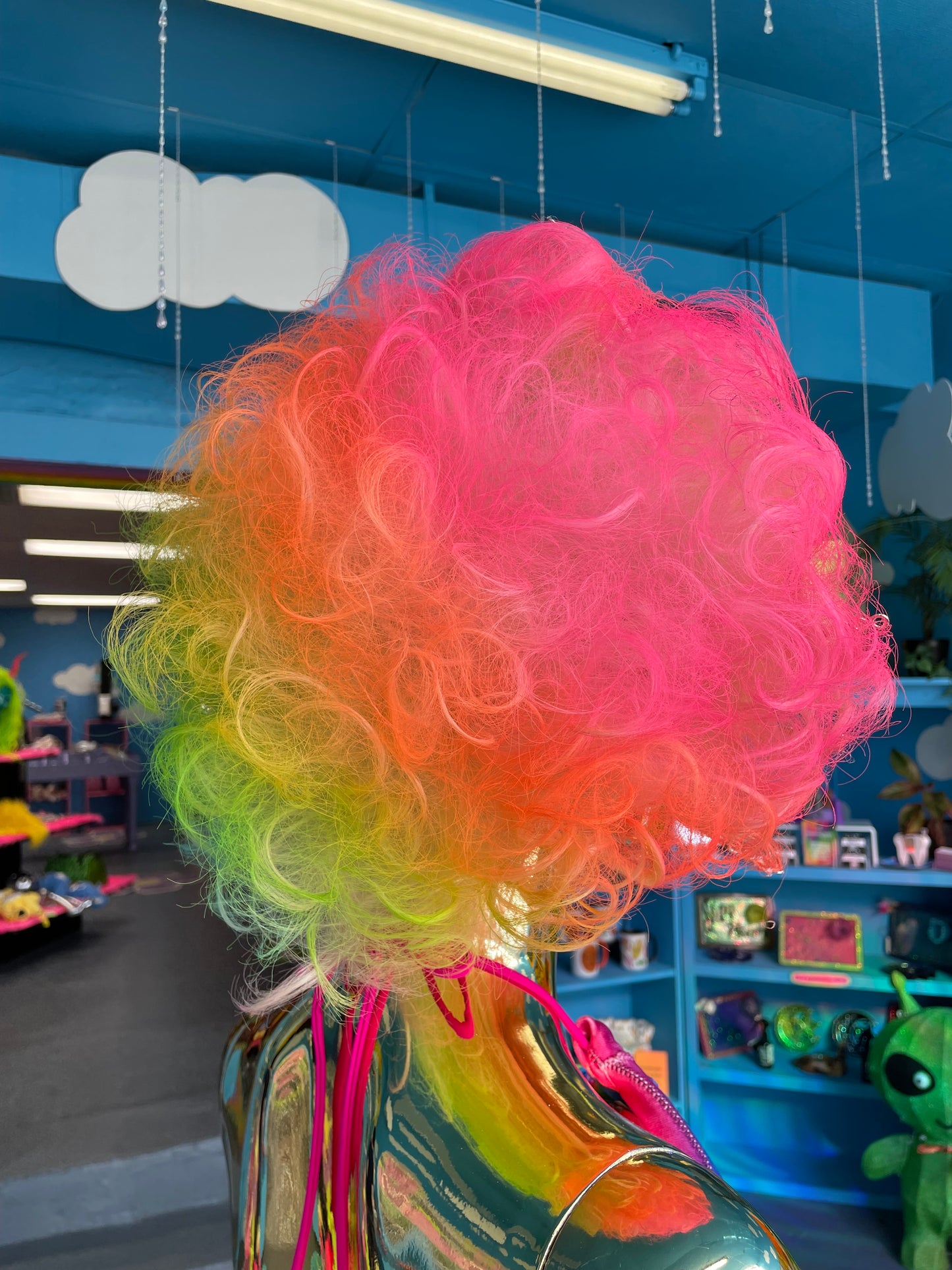 Rainbow Magic Wig